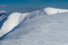 IMG_7999
