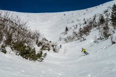 IMG_8001