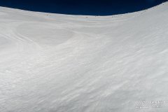 IMG_8010