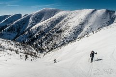 IMG_8013