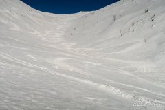 IMG_8033