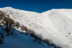 IMG_8037