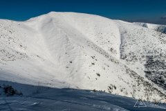 IMG_8041