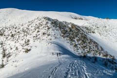 IMG_8042