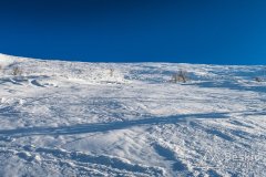 IMG_8058