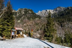 IMG_8157