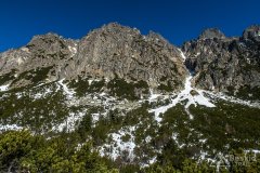 IMG_8158