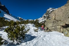 IMG_8160