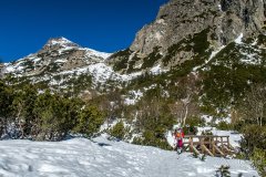 IMG_8161