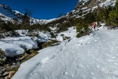 IMG_8162