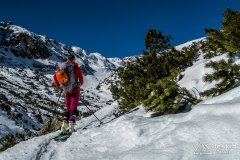 IMG_8163