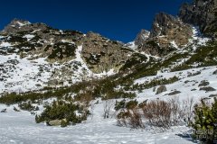 IMG_8164