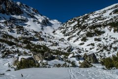IMG_8165