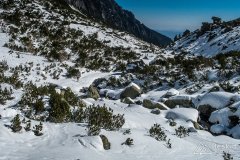 IMG_8167