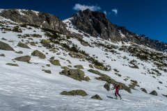 IMG_8182