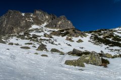 IMG_8185