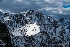IMG_8195