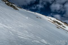 IMG_8201