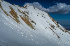 IMG_8213