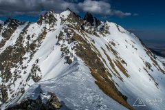 IMG_8224