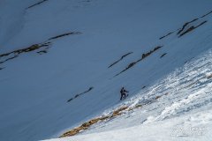 IMG_8229