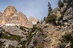 IMG_8312