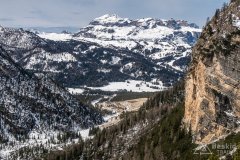 IMG_8313