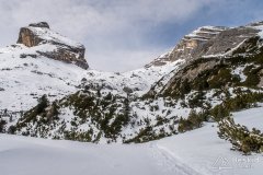 IMG_8319