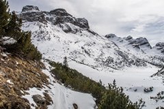 IMG_8320