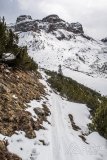 IMG_8321