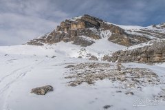 IMG_8325