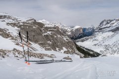 IMG_8328