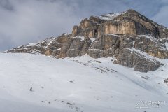 IMG_8329