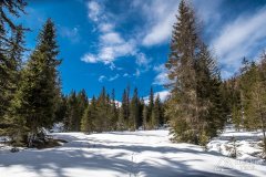 IMG_8367