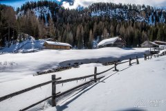 IMG_8368
