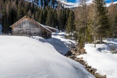 IMG_8369