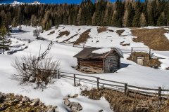 IMG_8370