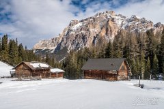 IMG_8372