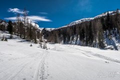 IMG_8373