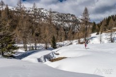 IMG_8375
