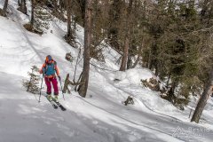 IMG_8376