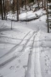 IMG_8377