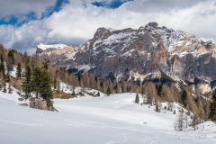 IMG_8379