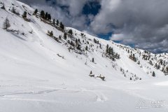 IMG_8381