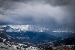 IMG_8384