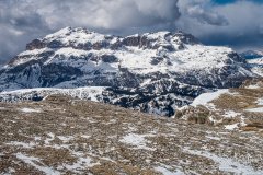 IMG_8390