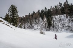 IMG_8393