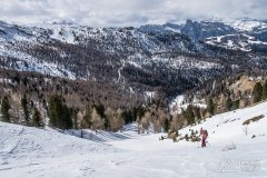 IMG_8396