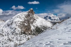 IMG_8401