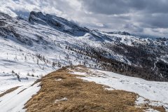 IMG_8408